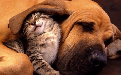 If we believe in the supremacy of our current paradigm, then history is nothing but a long series of misinterpretations. Given this trend, what merit does our 'truth' really hold?